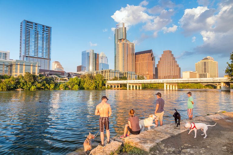 People and dogs with a view of Austin, Texas downtown skyline